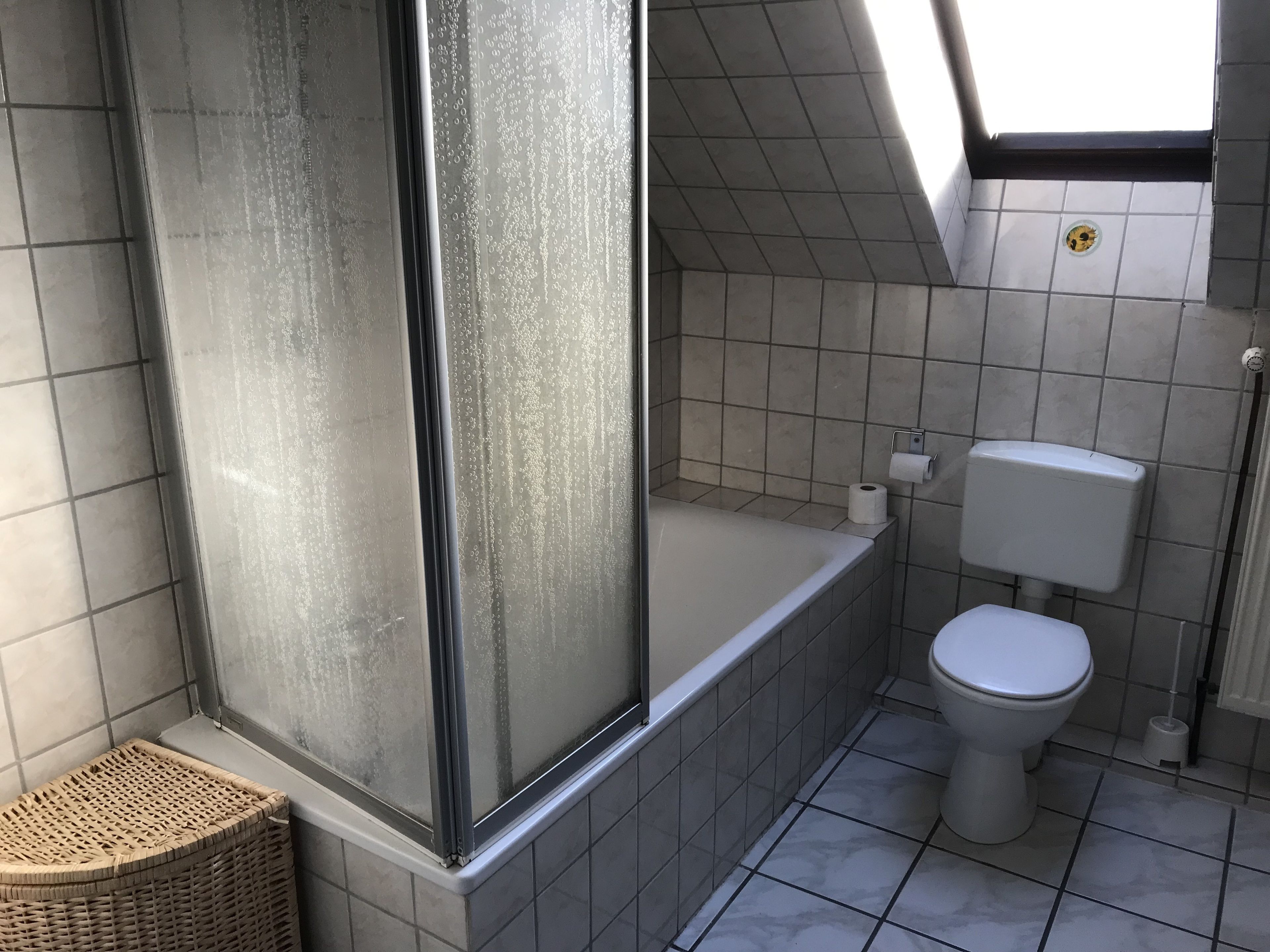 A bathroom with a shower, toilet, and a small window.