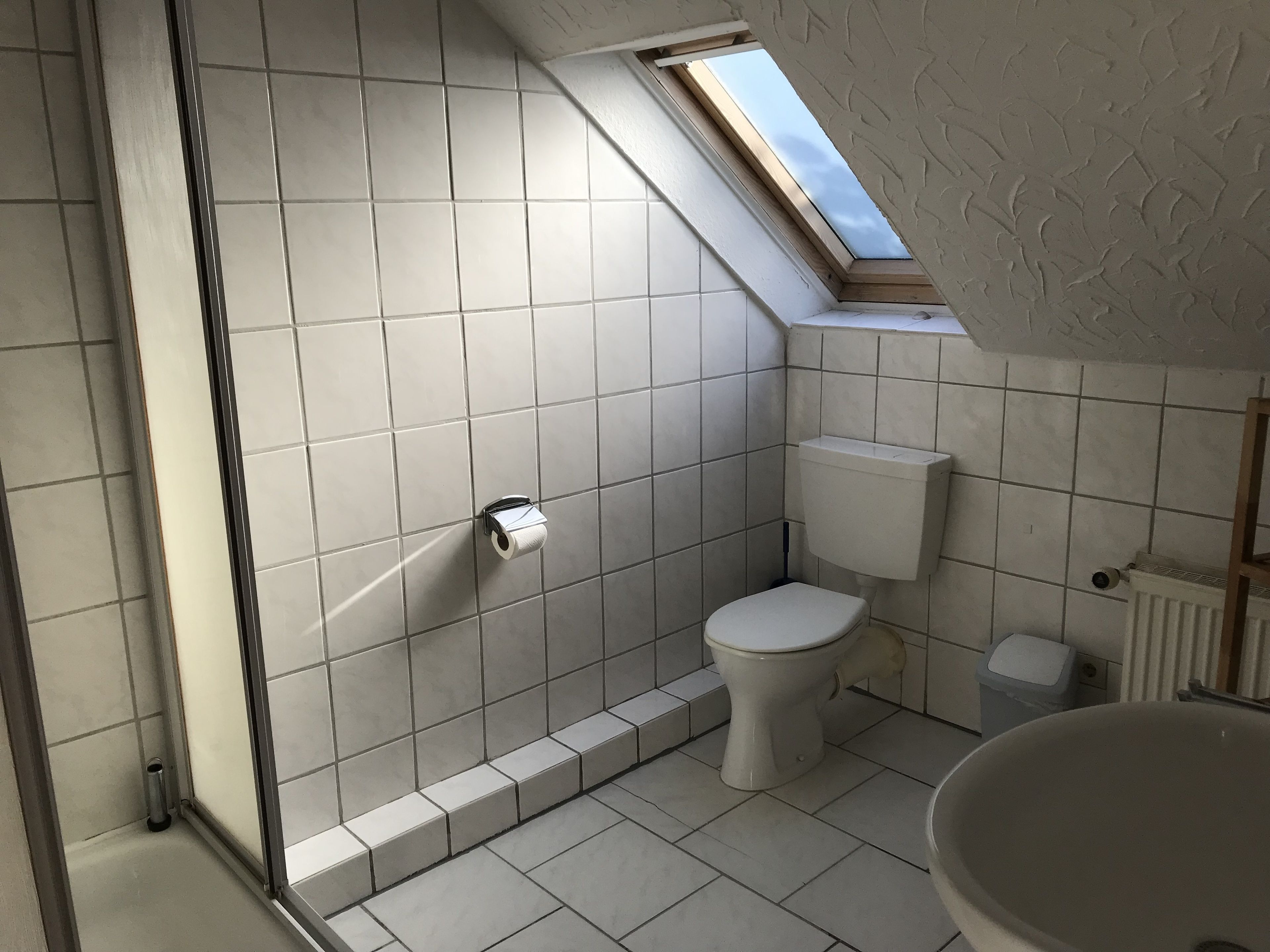 Pieni kylpyhuone, jossa on kattovalokuvio, wc ja pesuallas.