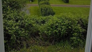 Tent | View from room - Coco Sweet Camping des Lacs (Pressignac)