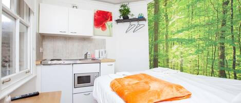 Estudi (0 Bedroom) | Planxa i posts de planxar, wifi i roba de llit