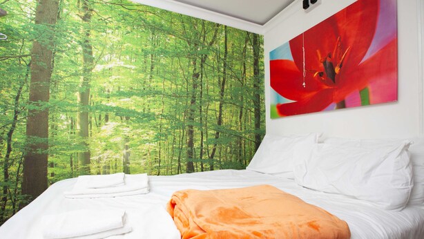 A bedroom with a forest mural, white bedding, and an orange blanket. - Cosy Studio in the Heart of Trendy Kemptown (Brighton)