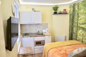 Studio (0 Bedroom) | Cuisine privée