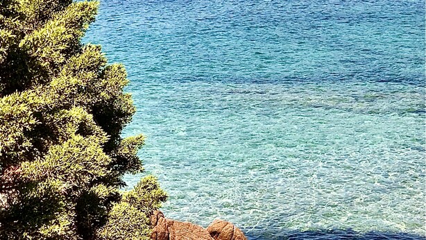 A coastal scene with clear blue water, rocky shoreline, and a tree in the foreground.