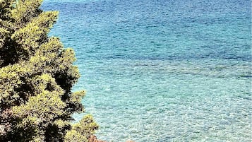 Sun-loungers, beach towels
