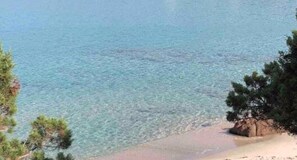 Camastros y toallas de playa 