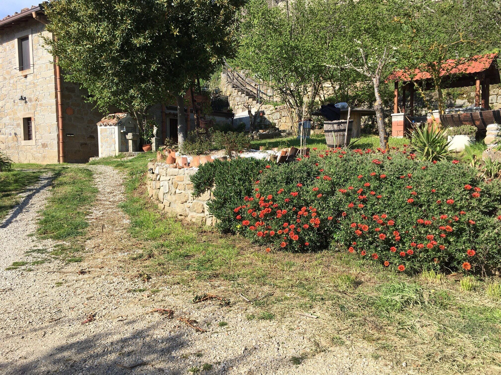 Parco della struttura