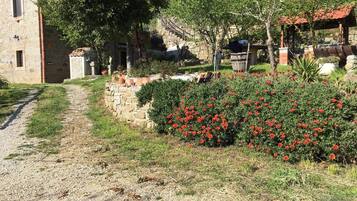 Parco della struttura