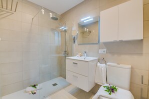 Shower, hair dryer, towels