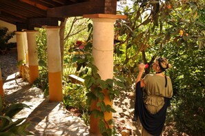Jardin