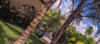 Lillo Executive Lodge