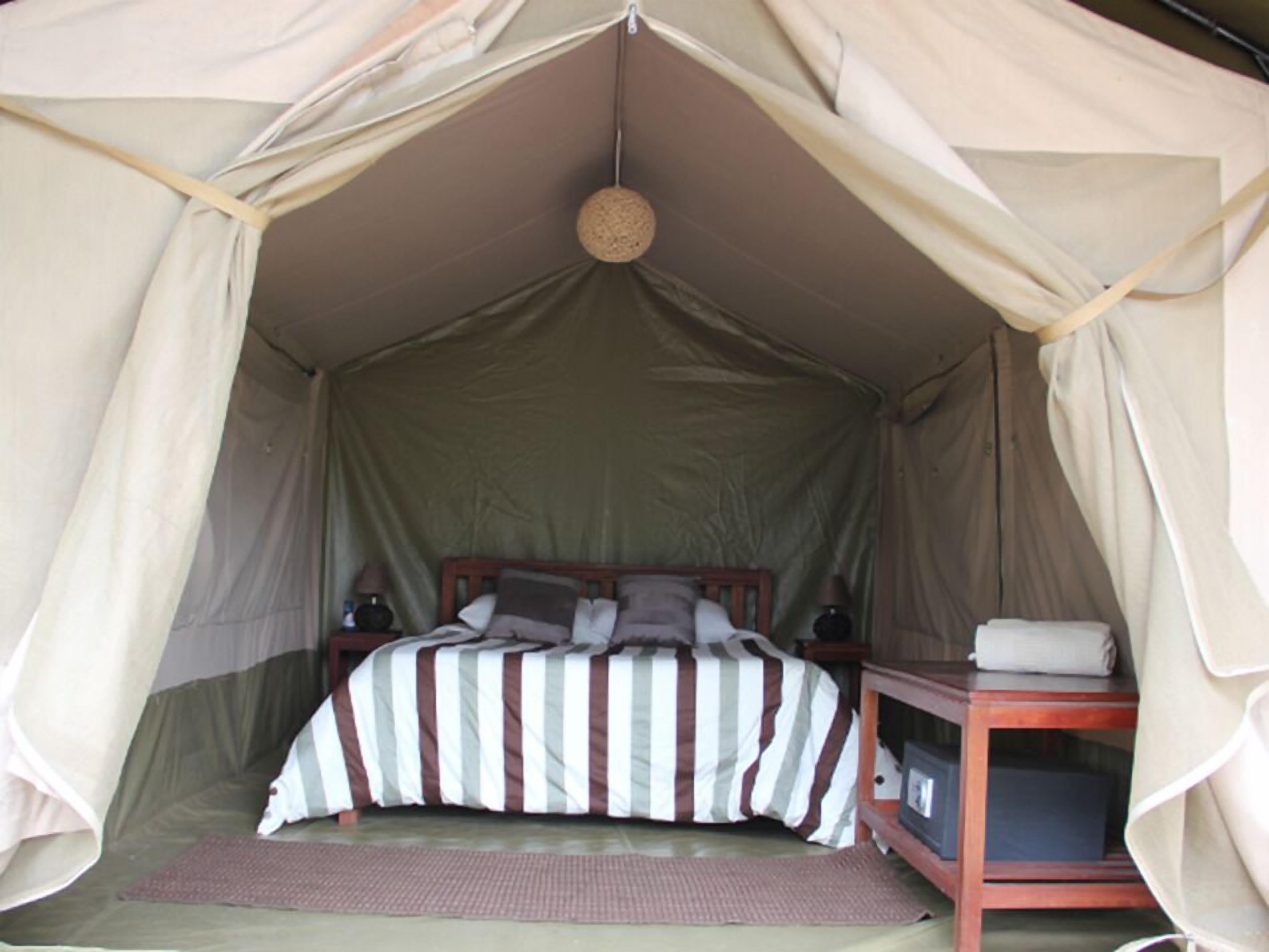 Foto - Wildebeest Eco Camp