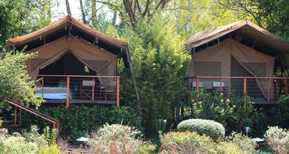 Wildebeest Eco Camp