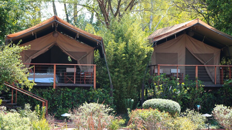 Wildebeest Eco Camp