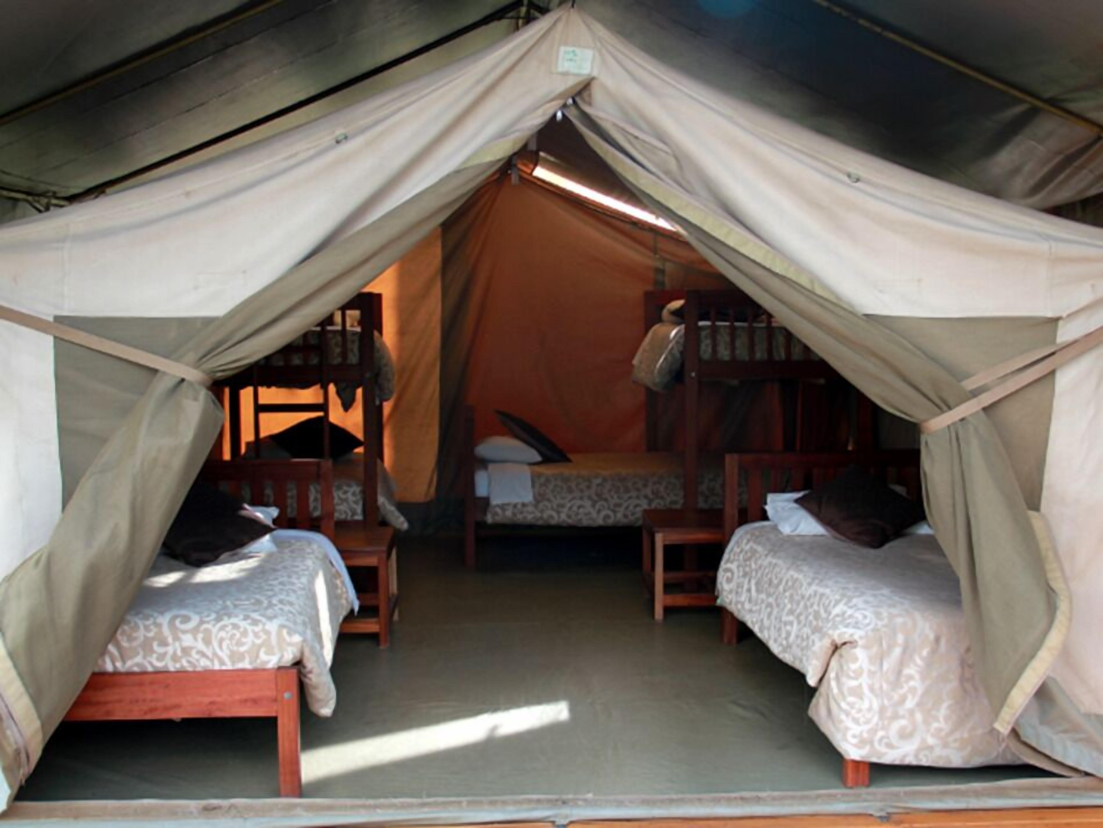 Foto - Wildebeest Eco Camp