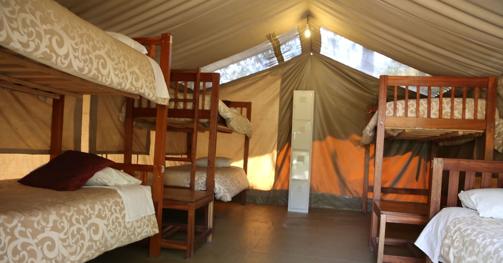 Wildebeest Eco Camp by null