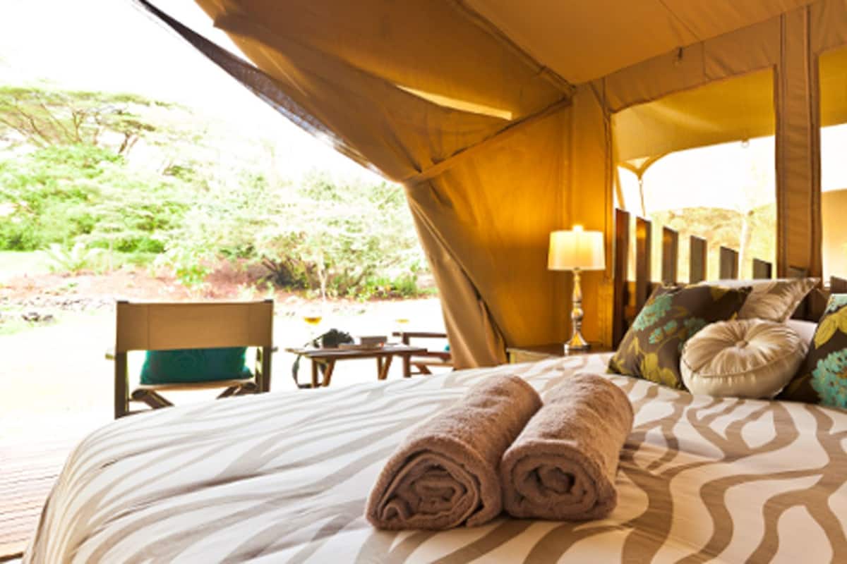 Deluxe Tent (Safari)