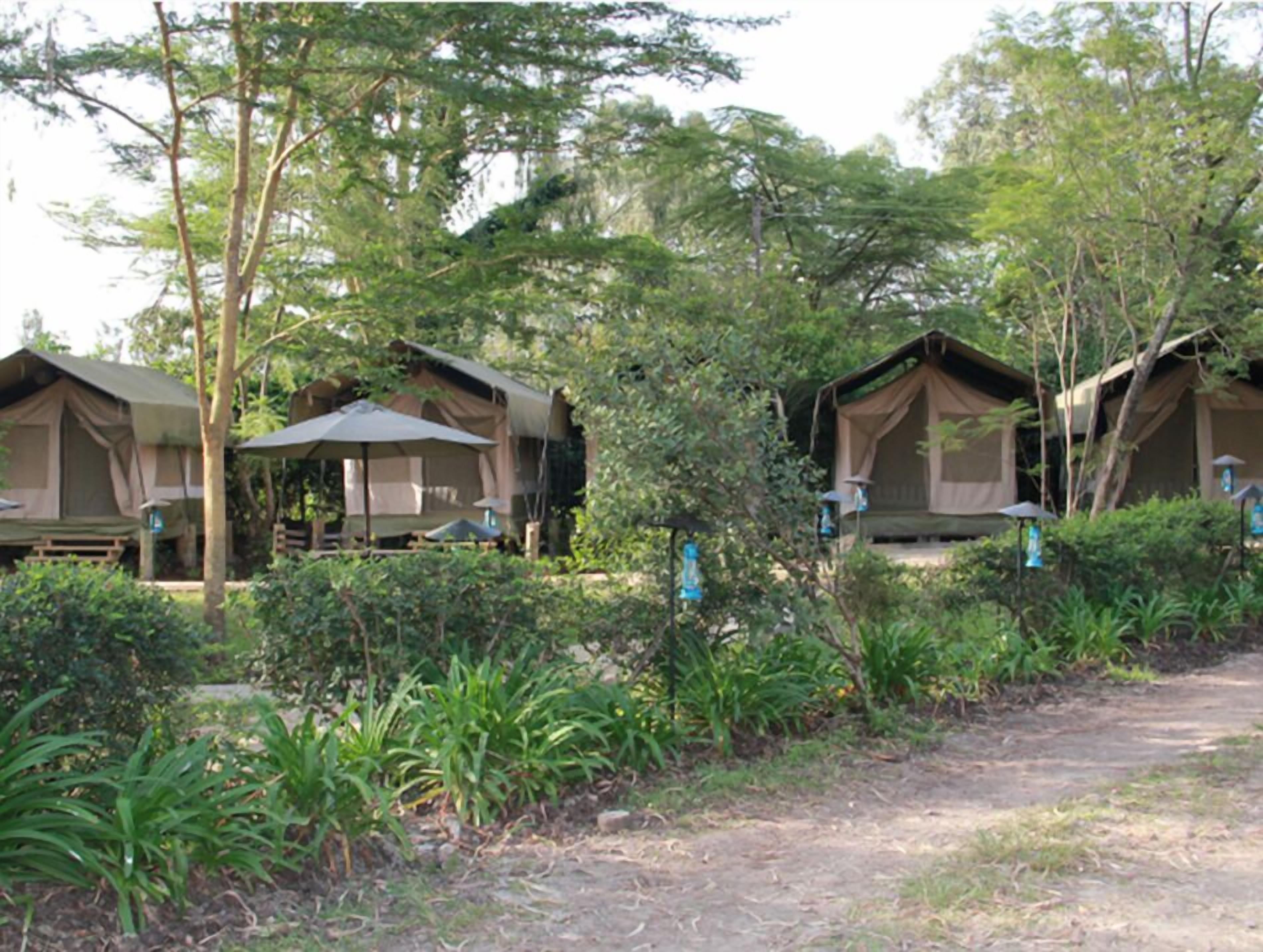 Foto - Wildebeest Eco Camp