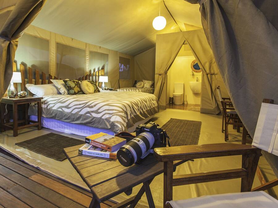 A tented room with a bed, a camera, and books.