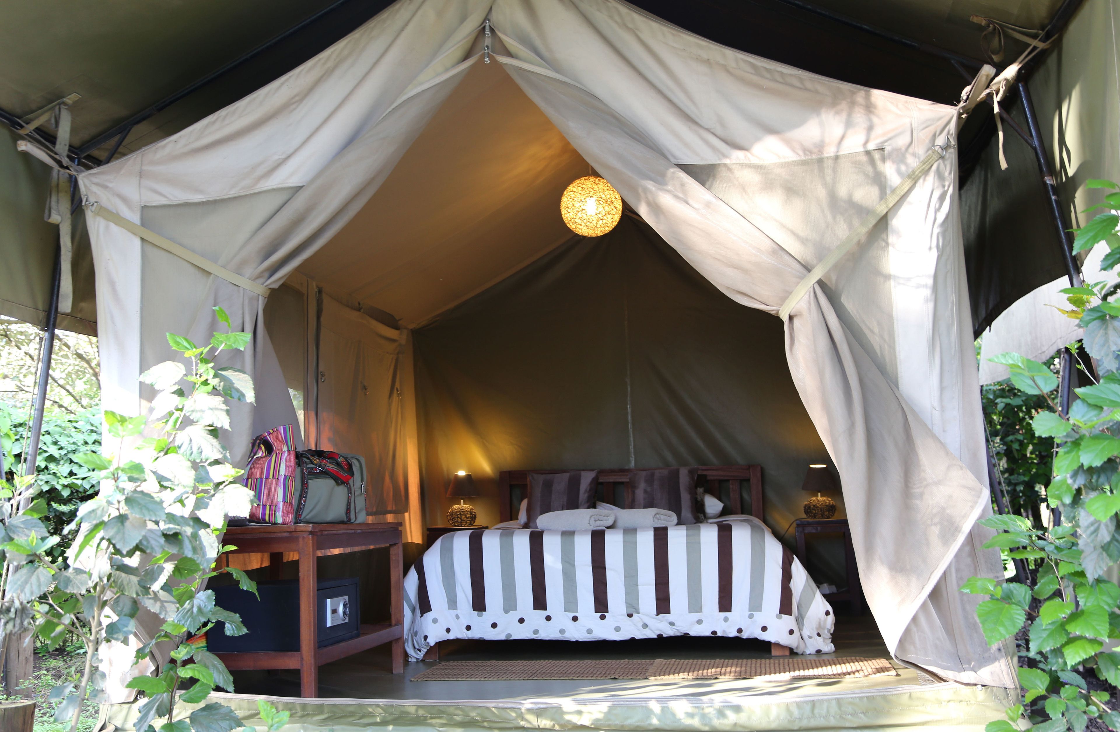 Foto - Wildebeest Eco Camp