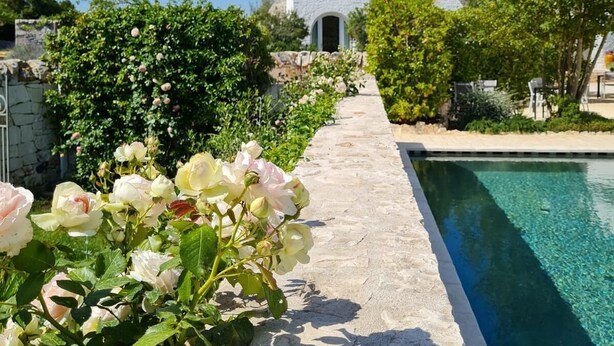 A stone pathway leading to a pool with clear blue water, surrounded by lush greenery and white flowers. - Masseria Grofoleo (Locorotondo)