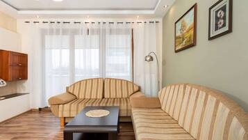 Fernseher, Arbeitsbereiche