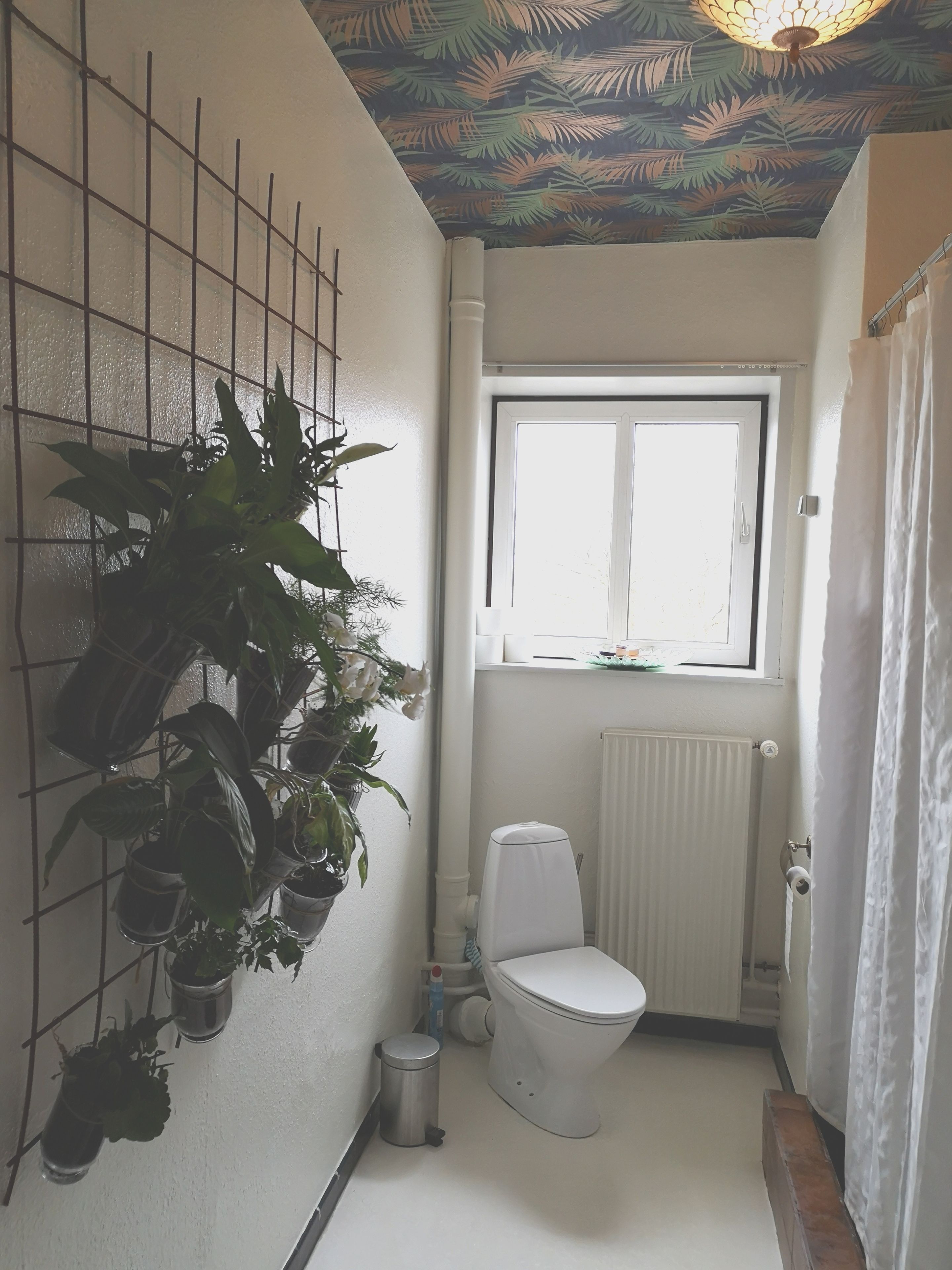 Een kleine badkamer met een toilet, een radiator, een raam en diverse potplanten.