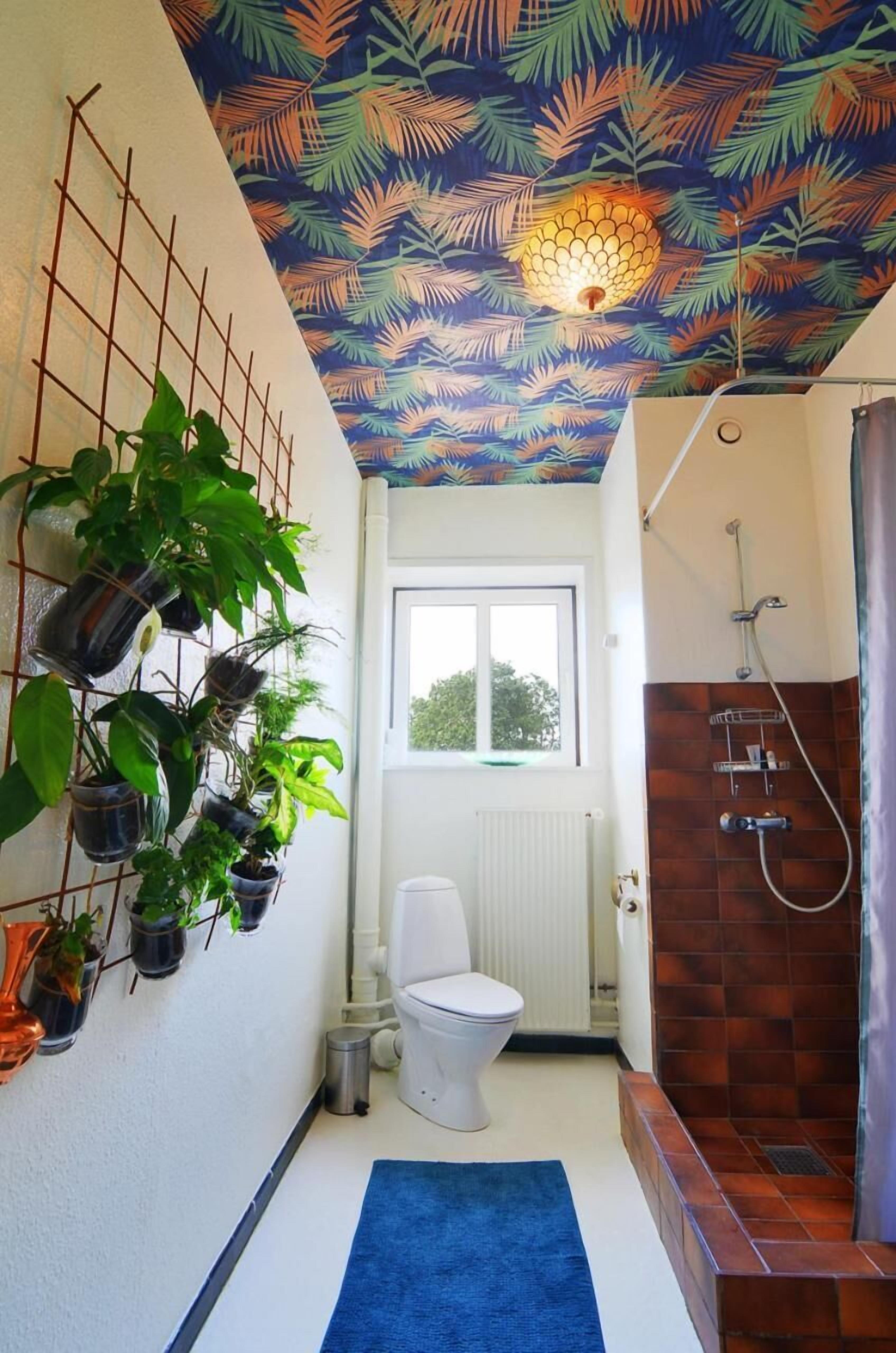 Ducha, artículos de tocador gratuitos, secador de pelo, toallas