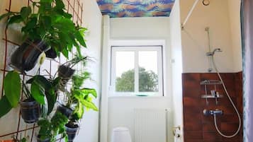 Ducha, artículos de tocador gratuitos, secador de pelo, toallas