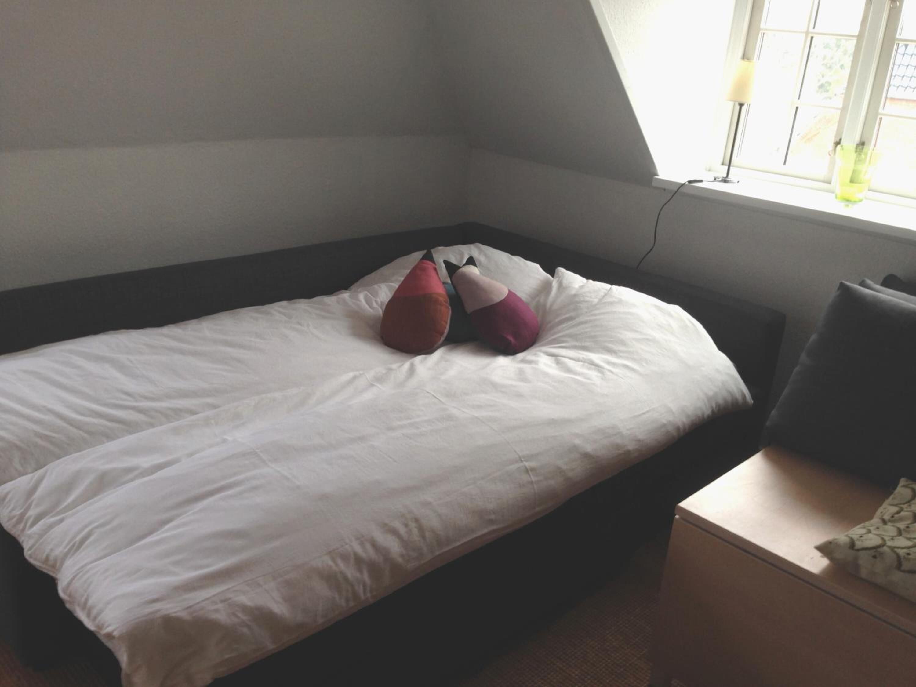 A single bed with white bedding and two decorative pillows, a bedside table with a lamp, and a window with a view of greenery.