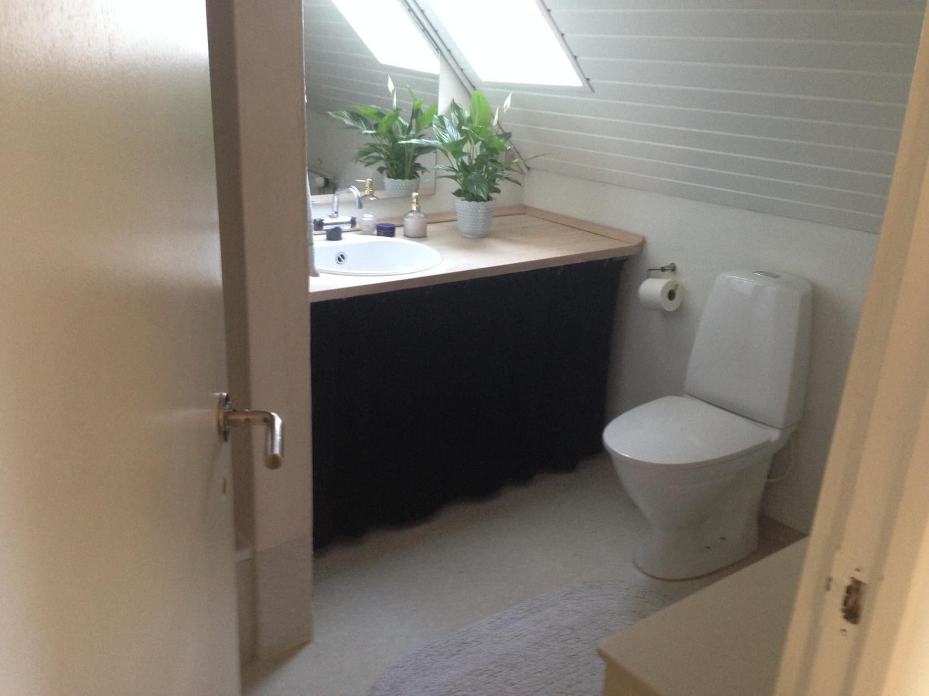 Une petite salle de bain avec un puits de lumière, des toilettes, un lavabo et une plante en pot.