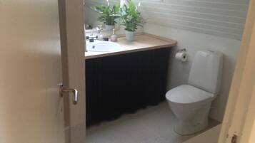 Une petite salle de bain avec un puits de lumière, des toilettes, un lavabo et une plante en pot.