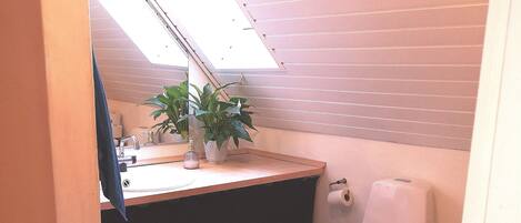 A small, compact bathroom with a skylight, a sink, a toilet, and a trash can.