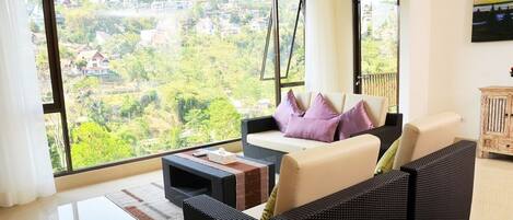 电视、DVD 播放器