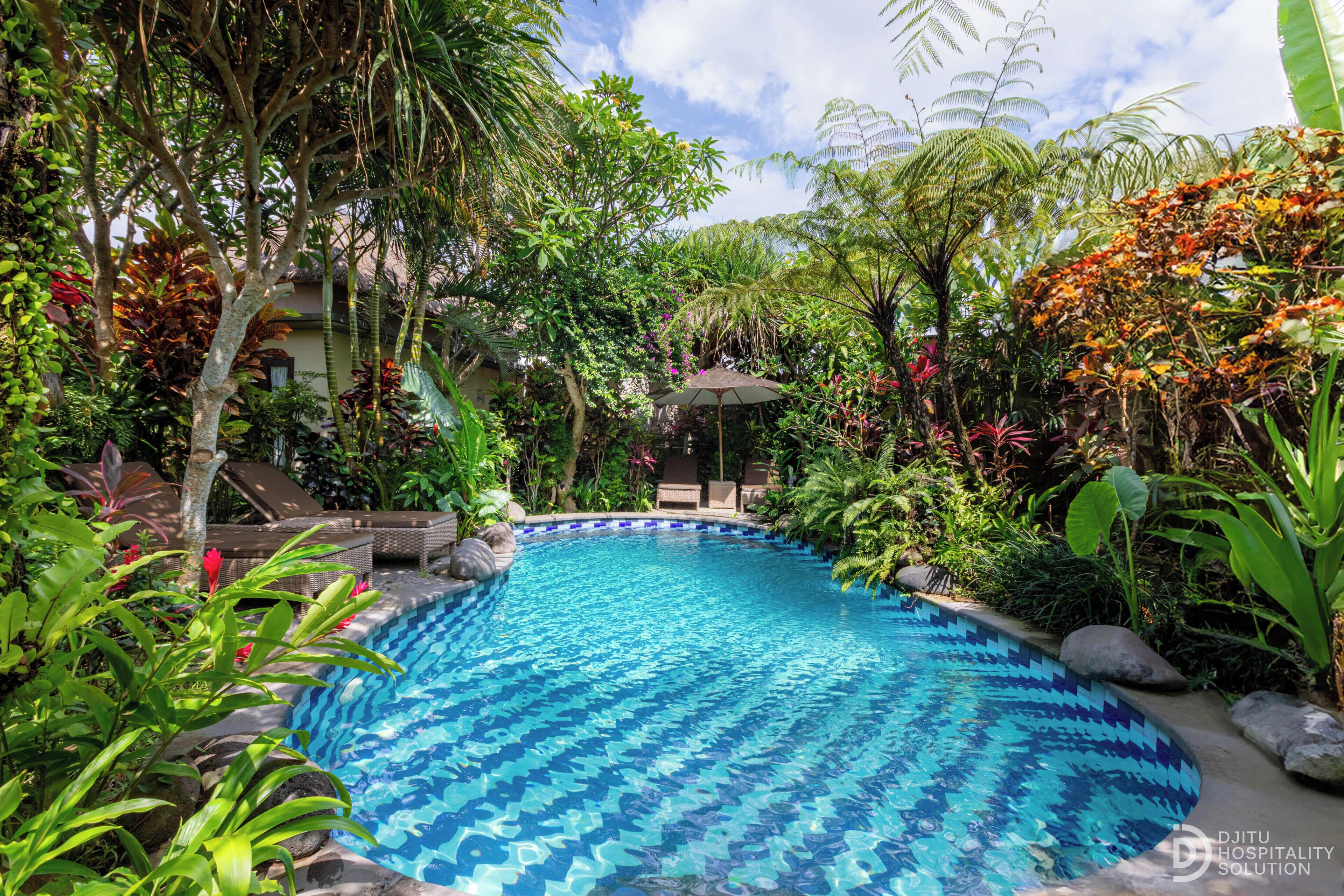 Outdoor pool, free cabanas, pool umbrellas