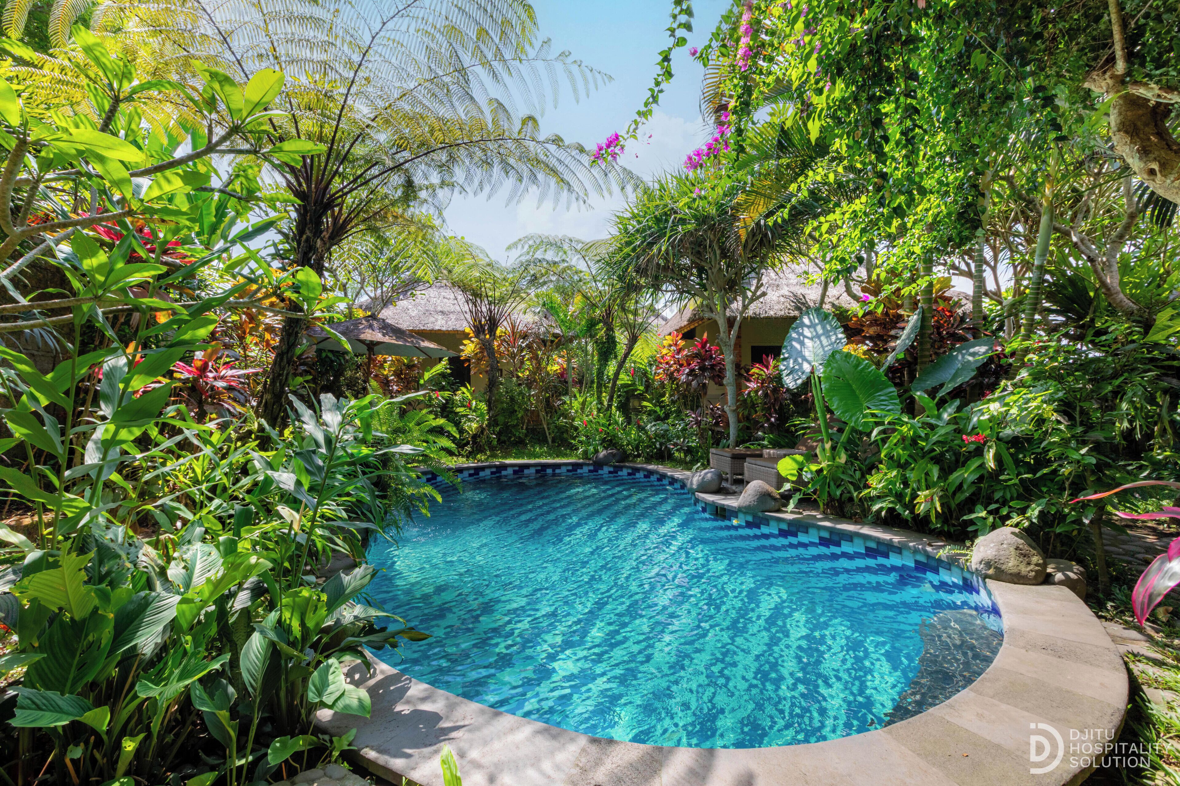 Una piscina al aire libre, camas de piscina gratis, sombrillas