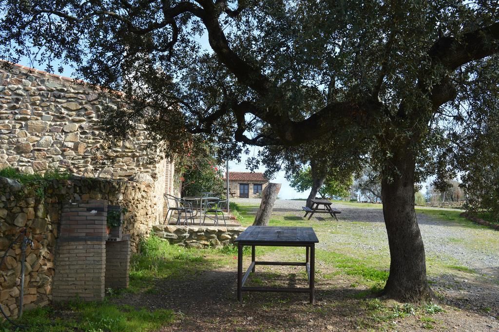 A rustic stone building with a brick chimney, a picnic table, and a bench under a large tree.