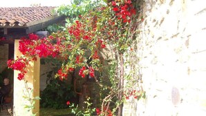 Un jardín con flores rojas y un muro de piedra.
