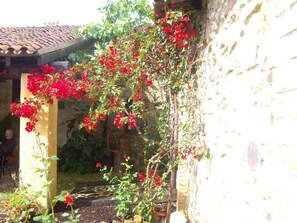 Exterior detail - Finca Los Caleros (El Madrono)
