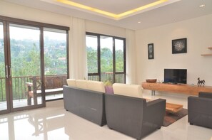 Televisio, DVD-soitin