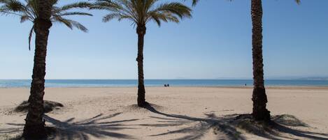Una spiaggia nelle vicinanze, lettini da mare