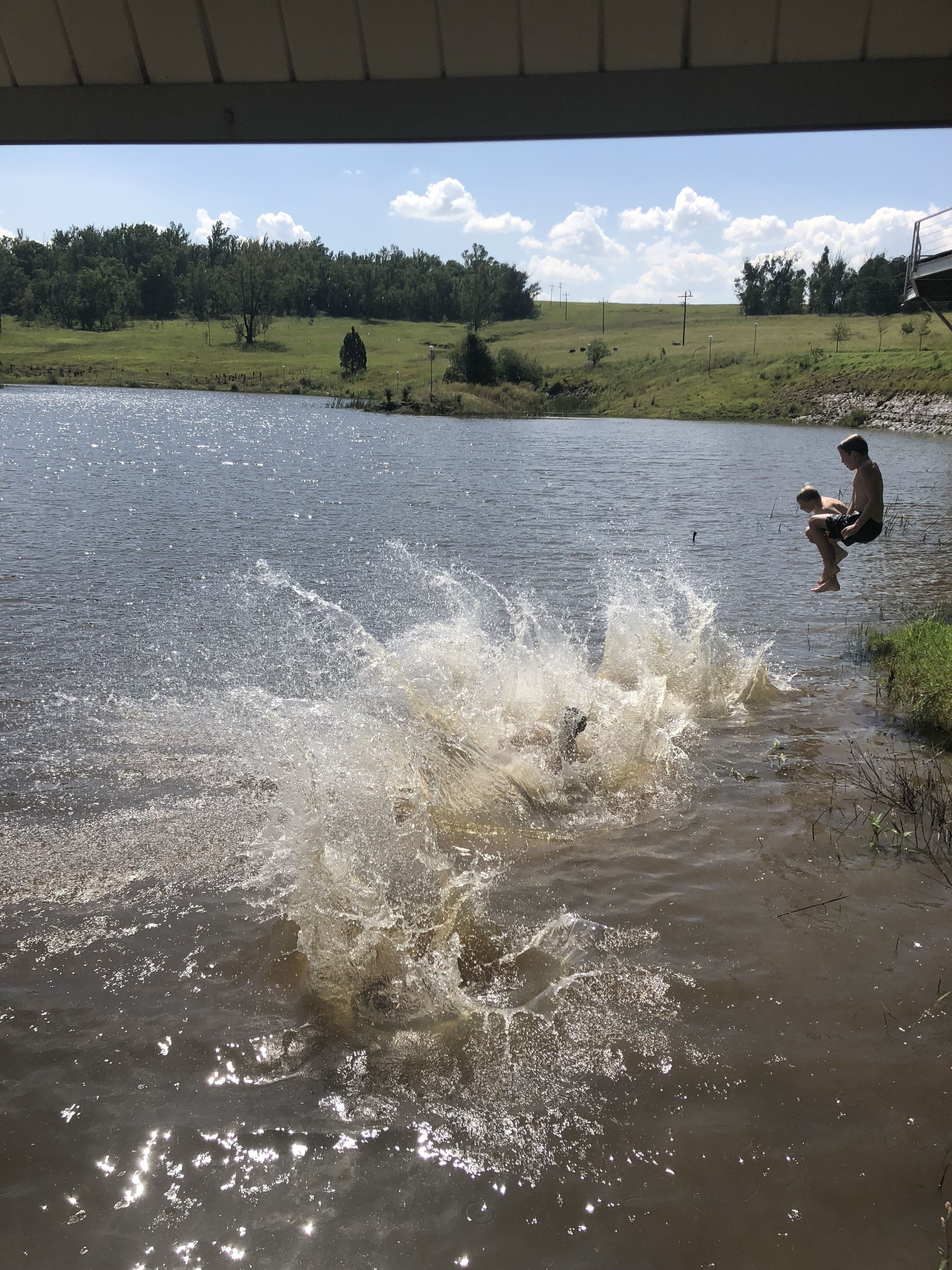 A river with a person jumping into the water, a grassy field, and a clear sky.