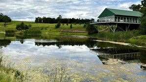 A lakeside building with a green roof, surrounded by a grassy landscape and a calm body of water reflecting the sky. - Grey Goose Game Lodge (Newcastle)