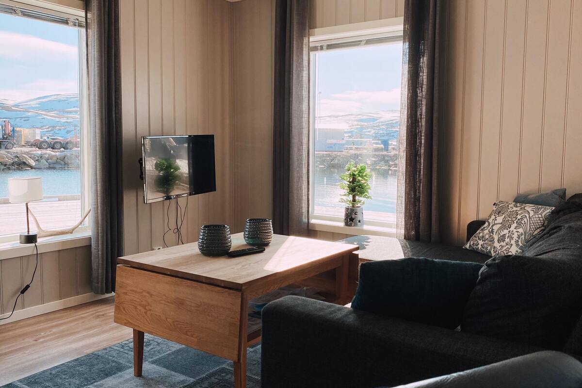 Een moderne woonkamer met een houten salontafel, een zwarte bank en een aan de muur bevestigde televisie. Twee ramen met gordijnen, een kleine plant op de vensterbank, en uitzicht op een waterpartij en verre gebouwen.