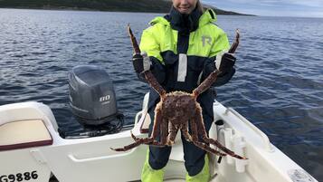 Une personne tenant un gros crabe sur un bateau équipé d'un moteur hors-bord Yamaha.