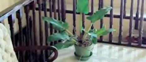 Une chaise en marbre avec un coussin, une plante en pot et une rambarde en bois, dans une pièce dont le sol est recouvert de carreaux.