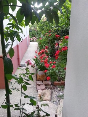 Jardí