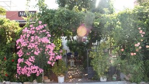 Property entrance - Keramos Pansiyon (Finike)