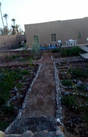 Garden - Chez Rania Slimani (Skoura)