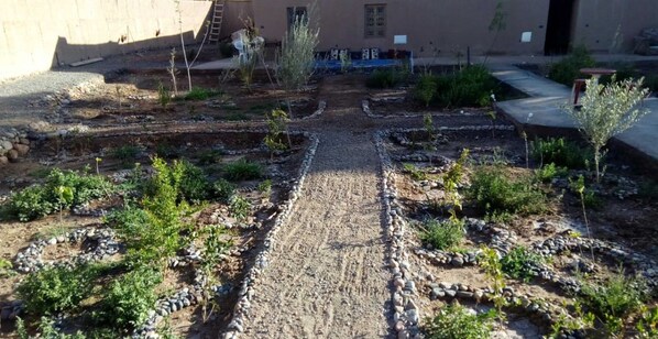 Garden - Chez Rania Slimani (Skoura)