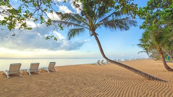 Plage à proximité, chaises longues, serviettes de plage